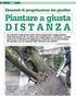 Elementi di progettazione dei giardini. Piantare a giusta D I S T A N Z A