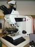 Microscopio per petrografia