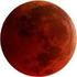 Società Astronomica Fiorentina Le Lune di Marte