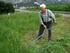 IL CAMPO SPORTIVO. 2- L operazione di risemina prevede l utilizzo di una quantità di seme pari a 25 g/m 2.