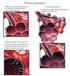 Gli US nella diagnostica dell Embolia Polmonare Ruolo dell ecocardiografia. Dr. Angelo Ghirarduzzi SSD di Angiologia di Reggio Emilia