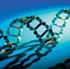- il DNA, la molecola che contiene l informazione genetica, - le proteine dei nostro organismo ( proteine dei muscoli, della pelle, gli enzimi),