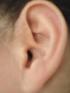 L ORECCHIO UMANO. Nell'orecchio si distinguono tre sezioni principali: l'orecchio esterno, l'orecchio medio e l'orecchio interno.