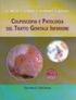 COLPOSCOPIA e fisiopatologia del tratto genitale inferiore ed endometriale