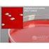 BD MacConkey II Agar / Columbia CNA Agar with 5% Sheep Blood (Biplate)