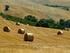 Piano di Sviluppo Rurale della Regione Toscana Firenze 11 settembre 2013