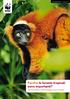 Attualità WWF n. 1, gennaio Perché le foreste tropicali sono importanti? Con la tua offerta ci aiuti a proteggere preziosi habitat.