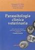 Parassitologia e Sanità Pubblica Veterinaria: i ditteri vettori