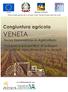 Focus Innovazione in Agricoltura: Problemi e prospettive di sviluppo del settore agroalimentare in Veneto