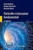 Particelle elementari ed interazioni fondamentali