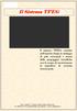 Il Sistema TFEG. Via A. Costa N S.Maria Capua Vetere (CE) Tel. 0823/ Fax 0823/