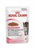 Kitten Sterilised: la nuova risposta nutrizionale di Royal Canin per i gattini sterilizzati