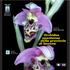 Orchidee spontanee della provincia di Savona