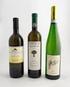 Vini Bianchi - Vins Blanc - Weiß Weine