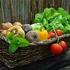 Alimenti Controllo sulla presenza di Residui di fitofarmaci in alimenti di origine vegetale. Disponibilità