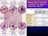 Introduzione. Capitolo 2 La risposta immune naturale e specifica: cellule e tessuti del sistema immune Calogero Caruso e Federico Licastro