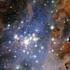 Galaxy zoo: classificare l universo con un click! di Daniele Gasparri