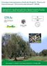 Convegno internazionale e finale del Progetto Ricerca ed innovazione per l'olivicoltura Meridionale (RIOM)