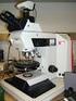 10. Strumenti Ottici e Microscopi Microscopi/Microscopi ottici