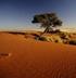 Viaggi d avventura in Namibia