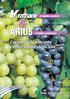 L accoppiata vincente contro l oidio della vite