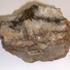 Rocce della collezione didattica Minerale-Roccia Località N Inv. Collocazione Quant ità Presenza - Note Ambra (nella lignite) 318 M6 1 * Amianto di