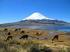 CILE DEL NORD, LAGHI e PATAGONIA (Cile: 12 giorni / 11 notti)