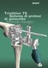 Triathlon TS Sistema di protesi di ginocchio. Protocollo chirurgico