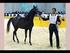 INTERNATIONAL ARABIAN HORSE CHAMPIONSHIP