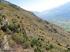 La gestione agro-pastorale storica del SIC Oasi xerotermiche della Valle di Susa - Orrido di Chianocco e Foresto