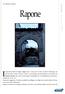 Rapone. Il toponimo deriva da rapa e rappa, spina e luogo pieno di spine, secondo il Racioppi, ma. di Salvatore Sebaste
