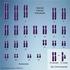 Le mutazioni cromosomiche