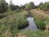 LA VEGETAZIONE ACQUATICA E PALUSTRE DELLA ZONA DEI CINQUE LAGHI DI IVREA