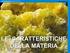 INFLUENZA DELLA MATERIA PRIMA SULLE CARATTERISTICHE DEL BIODIESEL. Valerio STANISCI ECO FOX srl