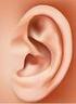 L orecchio si compone di tre parti, orecchio esterno, medio, interno.