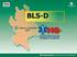 BLS-D Basic Life Support Defibrillation: La corsa contro il tempo