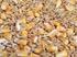 Cereali: tutte le «piante erbacee che producono frutti i quali, macinati, danno farina da farne pane e altri cibi».