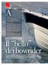 Il bello dei bowrider BAYLINER 215 BR