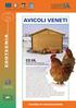 avicoli veneti CO.VA. Z O O T E C N I A SCHEDE DI DIVULGAZIONE Interventi per la Conservazione e la Valorizzazione di razze avicole locali venete