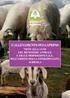 Allevamento ovi-caprino e sicurezza alimentare: i manuali di corretta prassi igienica