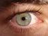 sistema visivo struttura dell occhio la cornea è innervata dai nervi ciliari (branca oftalmica del trigemino) è sprovvista di vasi