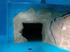 Particolarità ambientali di due grotte sottomarine dell area marina protetta del Plemmirio (Siracusa, Sicilia)