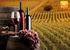 Speciale previsioni produzione vino