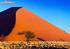 NAMIBIA Lo spettacolo della natura Dal deserto del Namib agli animali selvaggi del parco Etosha 12 giorni in hotel e lodge