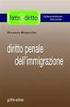 DIRITTO PENALE DELL'IMMIGRAZIONE