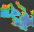Espianto, trapianto, mantenimento e monitoraggio di esemplari di Posidonia oceanica nel tratto marino da Santa Marinella a Civitavecchia