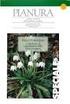 Contributo alla conoscenza della flora vascolare endemica di Calabria. 1. Centaurea poeltiana Puntillo (Asteraceae)