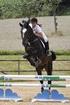 13 e 14 Giugno Concorso Nazionale di Dressage tipo B