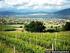 Fine Winemakers Umbria - Italy