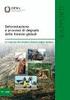 Illegalità e degrado delle foreste: un quadro delle nuove dinamiche ed iniziative di contrasto